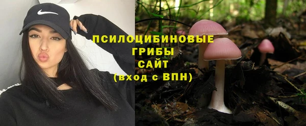 мяу мяу мука Гусев
