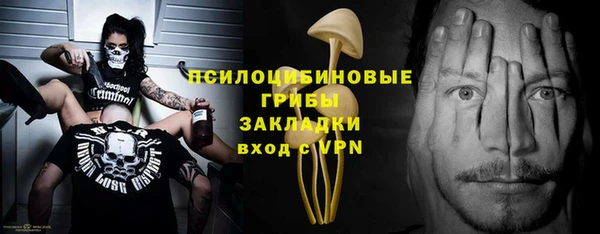 ГАЛЛЮЦИНОГЕННЫЕ ГРИБЫ Гусиноозёрск