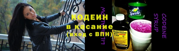 сатива Гусь-Хрустальный