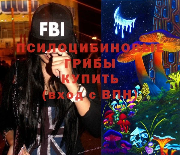 сатива Гусь-Хрустальный