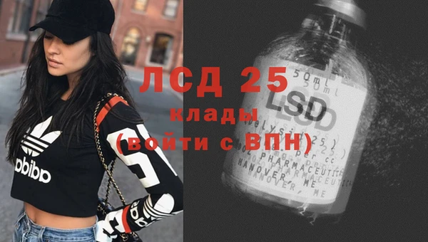 мяу мяу мука Гусев