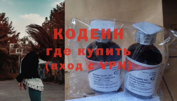мяу мяу мука Гусев