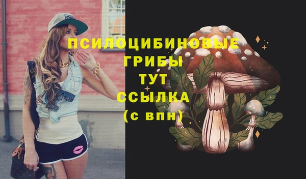 ГАЛЛЮЦИНОГЕННЫЕ ГРИБЫ Гусиноозёрск