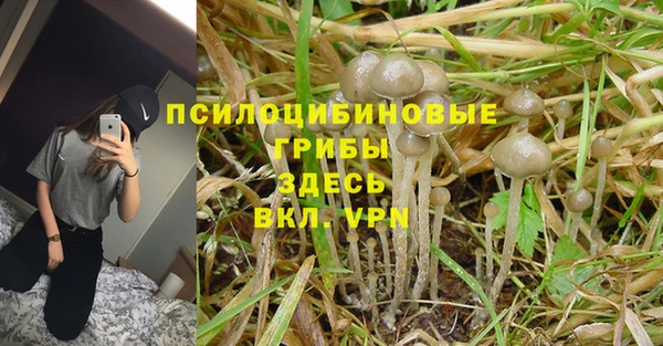 мяу мяу мука Гусев