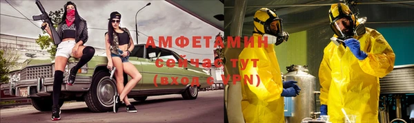 сатива Гусь-Хрустальный