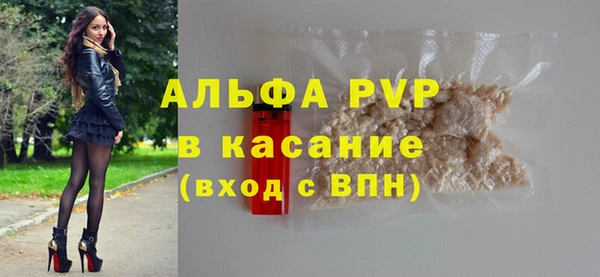 сатива Гусь-Хрустальный